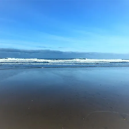 Stargazy Apartment Newquay (Cornwall)