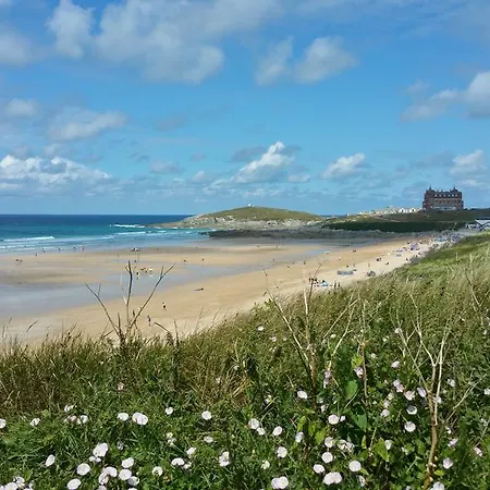 Stargazy * Newquay (Cornwall)